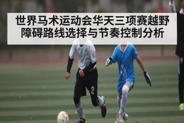 世界马术运动会华天三项赛越野障碍路线选择与节奏控制分析